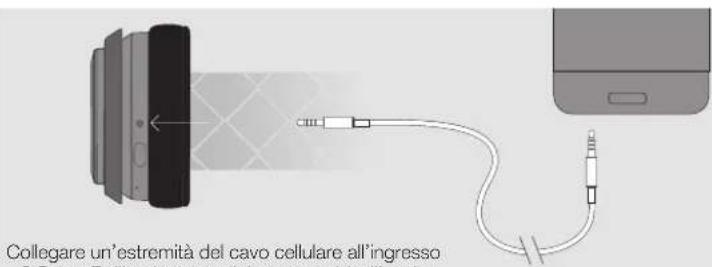 Collegare un'estremità del cavo cellulare all'ingresso 8.5" Della di sottica dell'attività all'ingresso