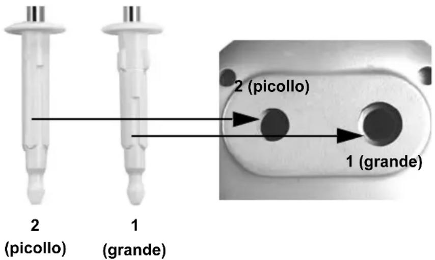 2 (picollo) 1 (grande) 2 (picollo) 1 (grande)
