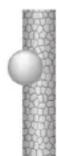 FiF GTHDi03 - DE SECHE-CHEVEUX - 2