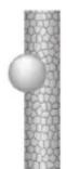 FiF GTHDi03 - Hinweis - 2