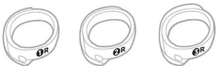 BOSE QuietComfort Earbuds II - Bandes de maintien - 1