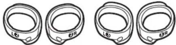 BOSE QuietComfort Earbuds II - 内件 - 4