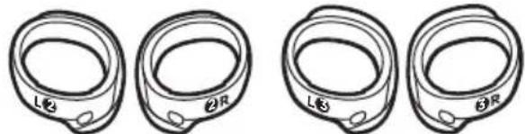 BOSE QuietComfort Earbuds II - 内件 - 4