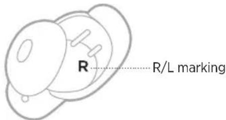 BOSE QuietComfort Earbuds II - INSERT THE EARBUDS - 1