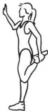 VitalMaxx 02678 - Front thighs - 1