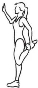 VitalMaxx 02678 - Avant de la cuisse - 1