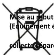 LIVOO DOD163 - Notice d'utilisation - 1