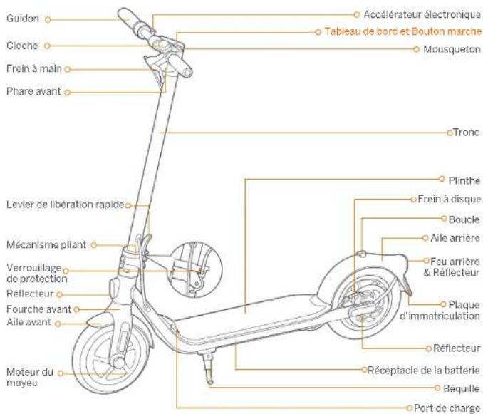 SEGWAY Ninebot KickScooter F40E - Diagramme - 1