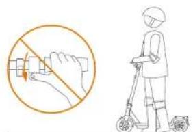 SEGWAY Ninebot KickScooter MAX G30LE II - WARNING - 9