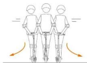 SEGWAY Ninebot KickScooter MAX G30LE II - WARNING - 12