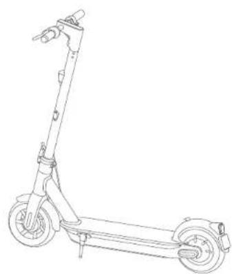 SEGWAY Ninebot KickScooter MAX G30LE II - Riding Safety - 1