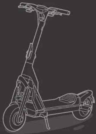 SEGWAY KickScooter GT2P - Trademark - 2