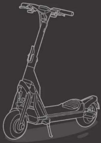 SEGWAY KickScooter GT2P - Directiva de maquinaria - 3