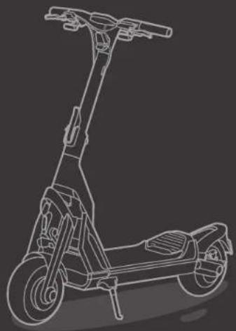 SEGWAY KickScooter GT2P - 0 - 2