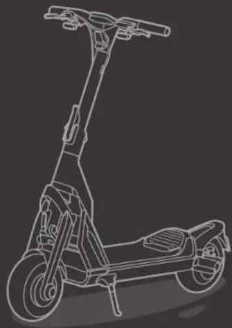 SEGWAY KickScooter GT2P - Marchio - 3
