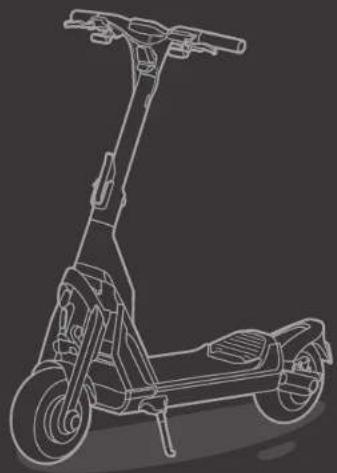 SEGWAY KickScooter GT2P - Trademark - 5