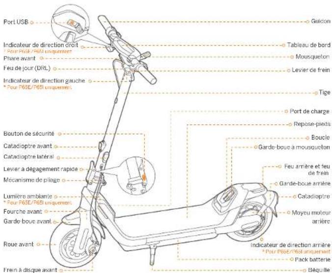 SEGWAY Ninebot KickScooter P65E - Diagramme et fonctions - 1