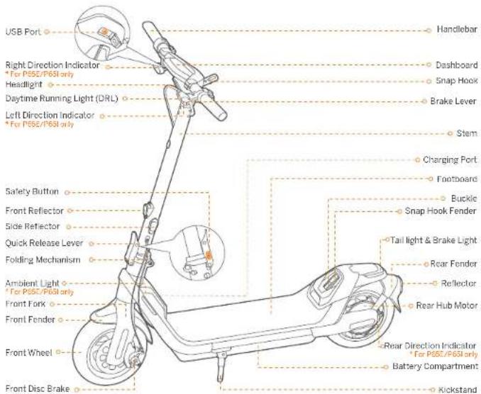 SEGWAY Ninebot KickScooter P65E - Contents - 1