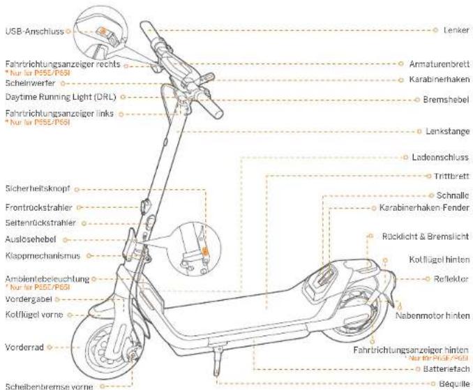 SEGWAY Ninebot KickScooter P65E - Diagramm und Funktionen - 1