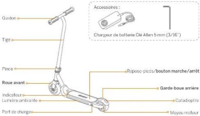 SEGWAY Ninebot eKickScooter ZING A6 - Ninebot eKickScooter ZING A6 Manuel de l'utilisateur - 2