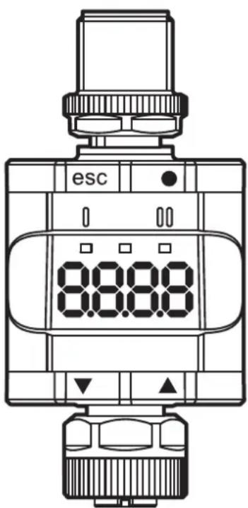 IFM DP2200 - 1
