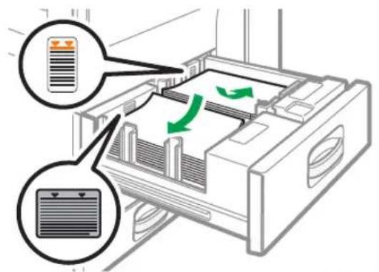RICOH IM 8000 - Taquez le papier et chargez-le face imprimée vers le bas. - 1