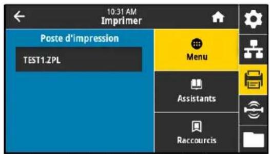 ZEBRA ZE511 - Imprimer > print station (poste d'impression) - 1