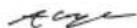 RYOBI CSD4107BG - EN DECLARATION OF CONFORMITY - 1