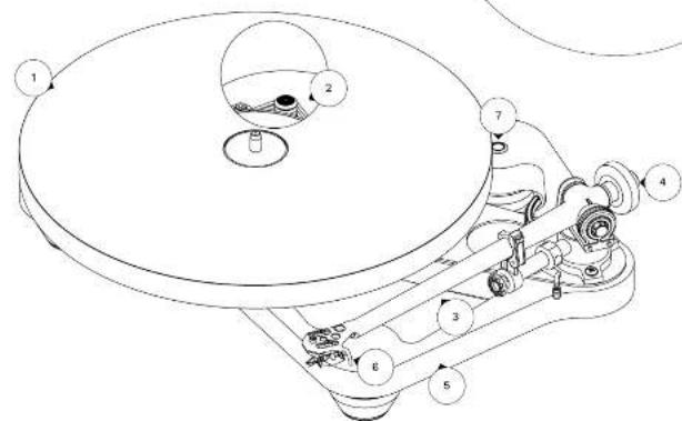 REGA Planar 10 - 2