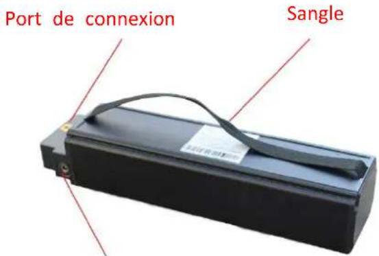 Port de connexion Sangle