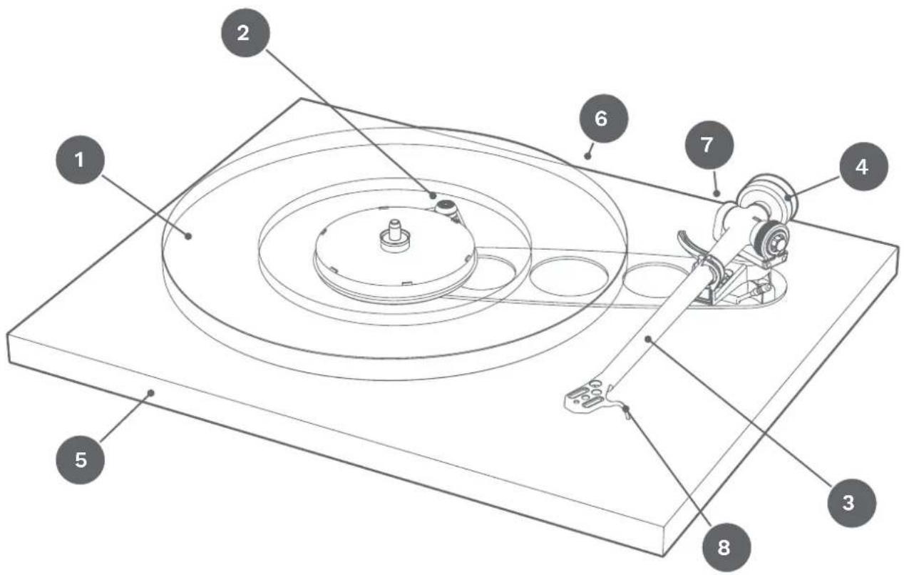 REGA Planar 6 - WARNINGS - 1