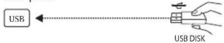 OK ODL 50850USTIB - USB - 1