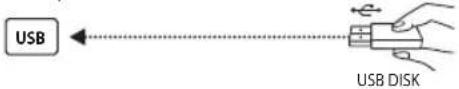 OK ODL 55850USTIB - USB - 1