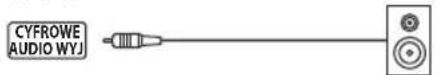 OK ODL 55850USTIB - LAN - 2