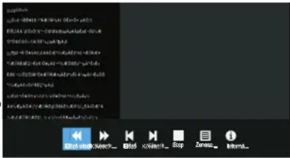 OK ODL 32851HCTB - Ha Szöveg fájlokat játszik le: - 1