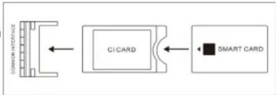 OK ODL 42850FCTAB - CI card slot - 1