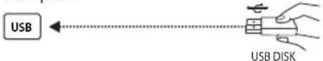 OK ODL 43751USTIB - USB - 1