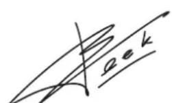 CARAT A1821 - CONFORMITEITSVERKLARING - 1