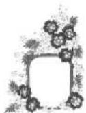 ELNA eXpressive 850 - Grands motifs - 2