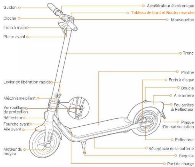 SEGWAY Ninebot KickScooter F30E - Diagramme - 1