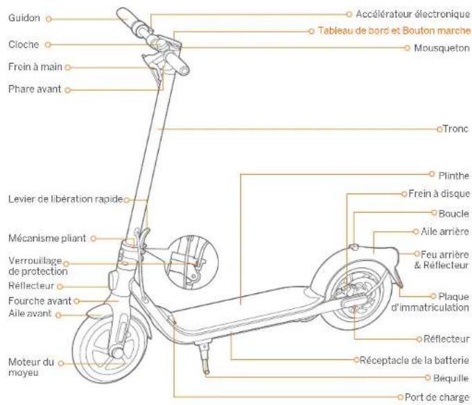 SEGWAY Ninebot KickScooter F25E - CE - 2