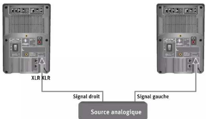 NEUMANN KH 120 A - Raccorder les signaux analogiques à l'enceinte - 1