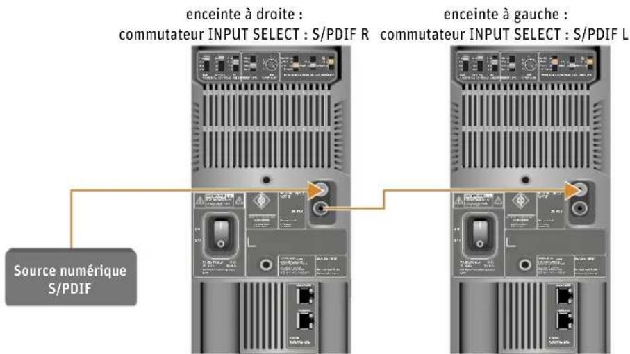NEUMANN KH 310 A - Raccorder les signaux numériques AES3ID et s/pdif à l'enceinte - 1