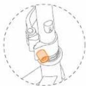 SEGWAY Ninebot eKickScooter ZING C10 - ZING C8, ZING C10 - 3