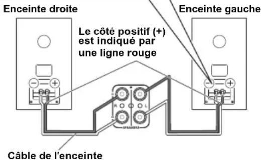 ONKYO D175 - Connexion des enceintes - 2
