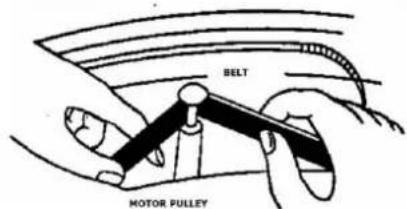 Audizio RP310S - DRIVE BELT ASSEMBLY - 1