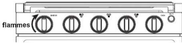 GE Profile PLD617RTSS - Allumage de la table de cuisson - 1
