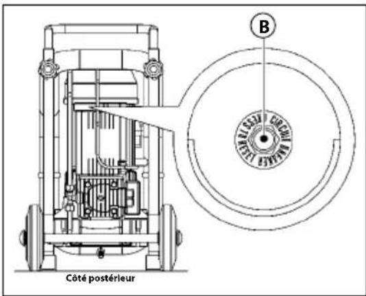 Côté postérieur B