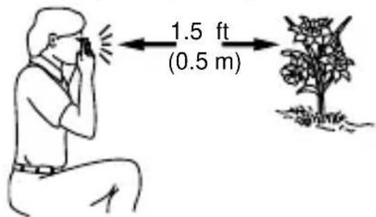 1.5 ft (0.5 m)