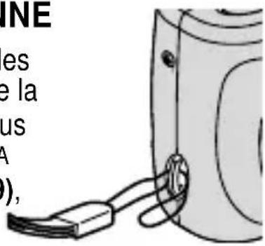 INE es e la us A ),